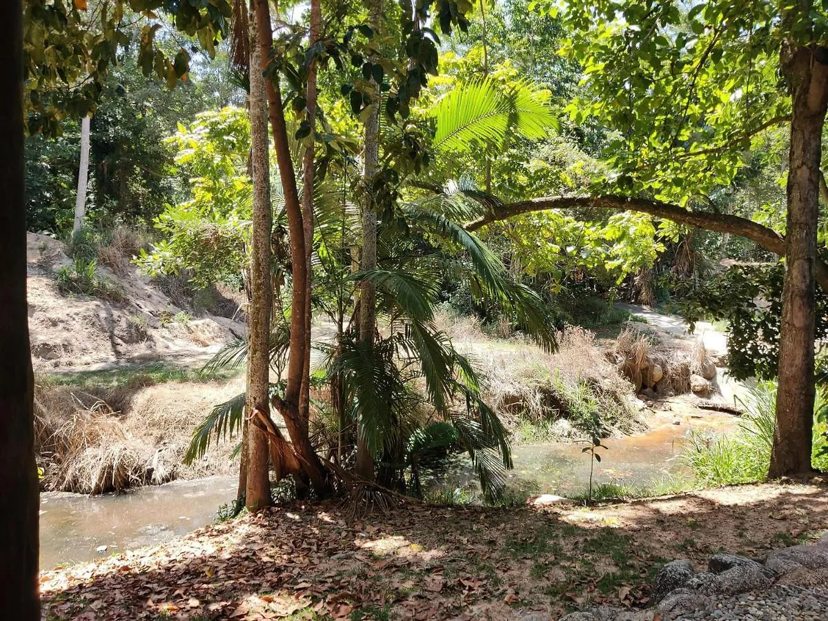 Rainforest Retreat Villa Mission Beach Holiday home